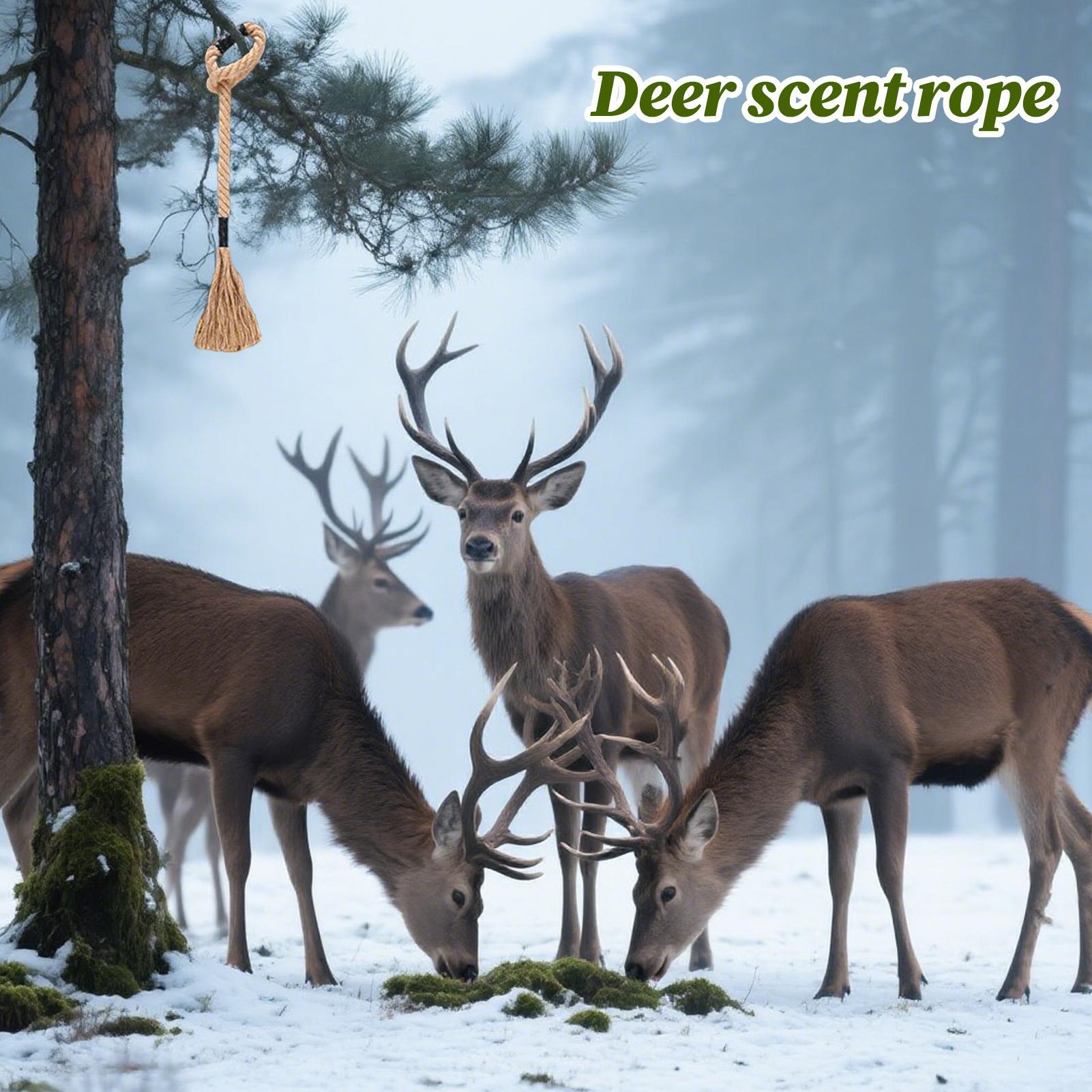 Deer Scent Rope Effective Long - Deer Attractant Scent recension och pris
